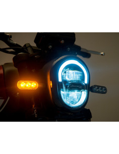 BENELLI LEONCINO 251 | Patente moto a2 |