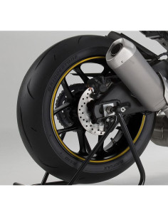 ADESIVO BORDO CERCHIO CON APPLICATORE ORO 6 METRI